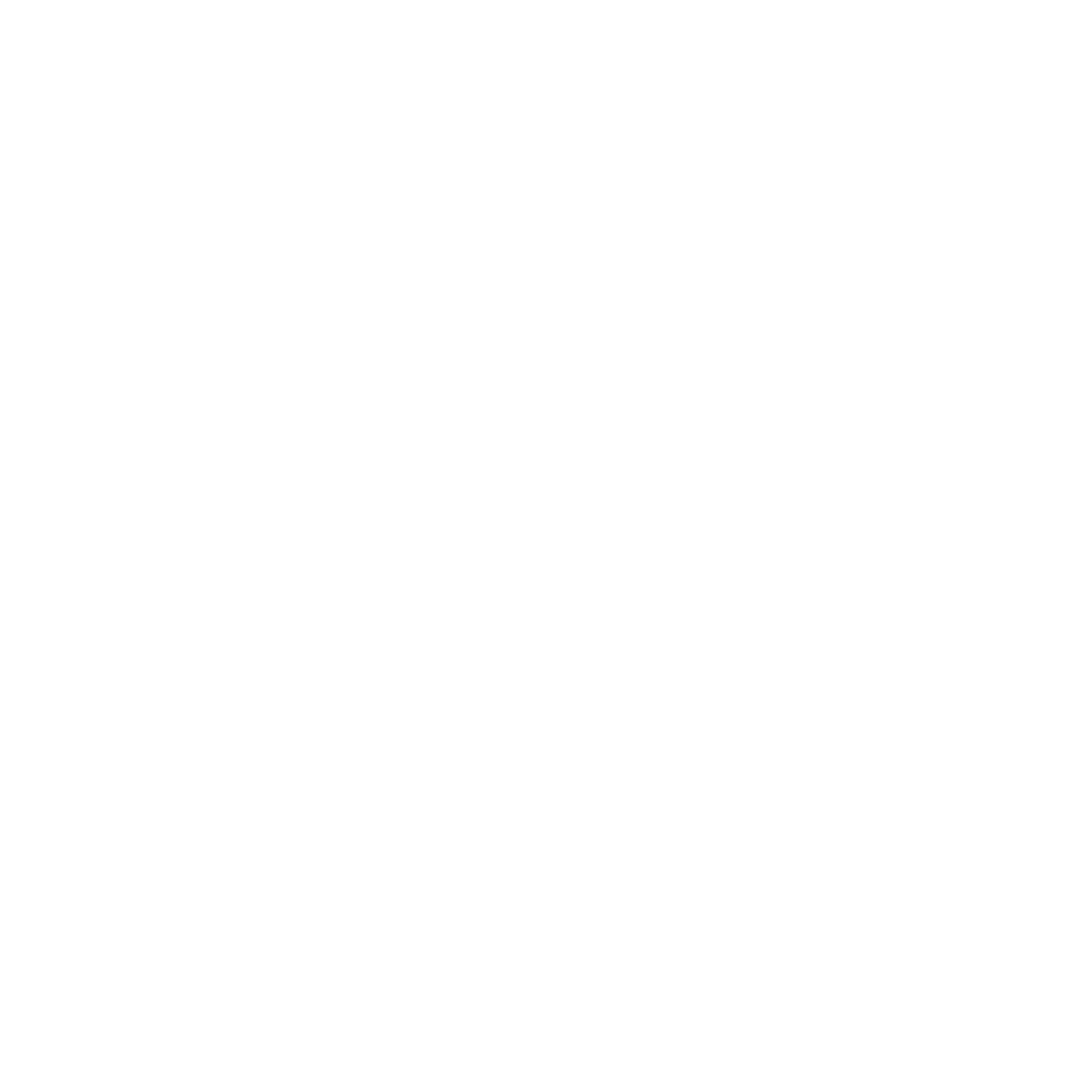 Ghost Network logo